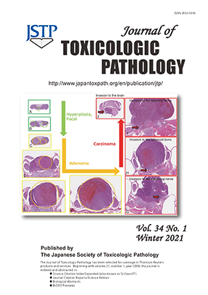 Journal of Toxicologic Pathology Vol.34 No.1